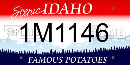 1M1146 Idaho License Plate