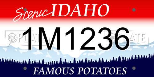 1M1236 Idaho License Plate