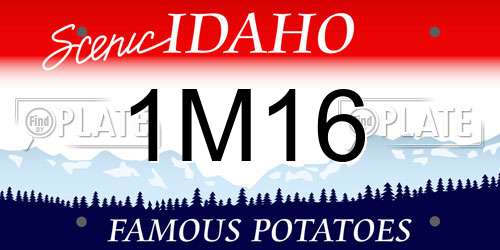1M16 Idaho License Plate