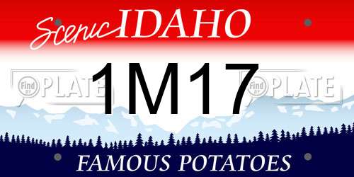 1M17 Idaho License Plate