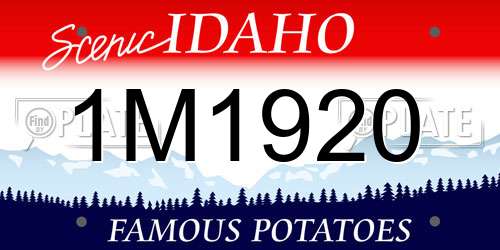 1M1920 Idaho License Plate