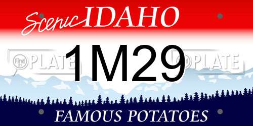 1M29 Idaho License Plate