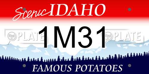 1M31 Idaho License Plate