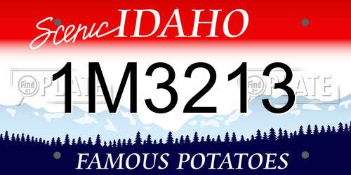 1M3213 Idaho License Plate