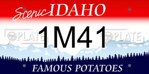 1M41 Idaho License Plate