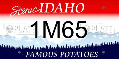 1M65 Idaho License Plate