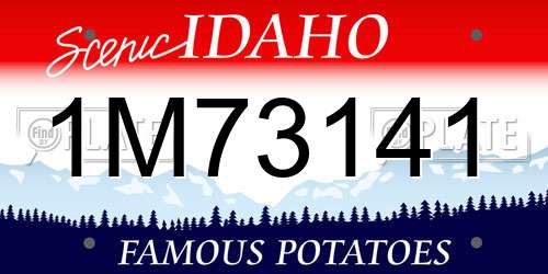 1M73141 Idaho License Plate