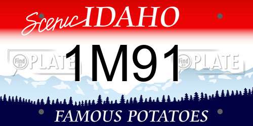 1M91 Idaho License Plate