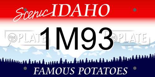 1M93 Idaho License Plate