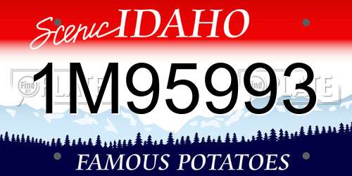 1M95993 Idaho License Plate