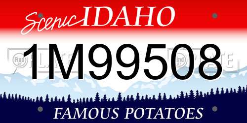 1M99508 Idaho License Plate