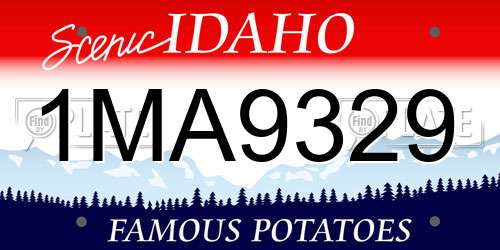 1MA9329 Idaho License Plate
