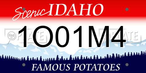 1O01M4 Idaho License Plate