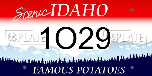 1O29 Idaho License Plate