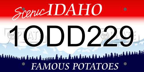 1ODD229 Idaho License Plate