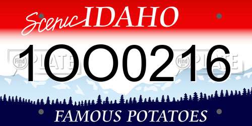 1OO0216 Idaho License Plate