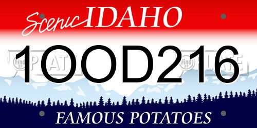 1OOD216 Idaho License Plate