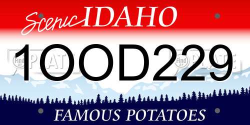 1OOD229 Idaho License Plate