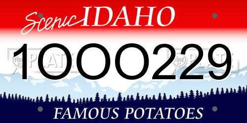 1OOO229 Idaho License Plate
