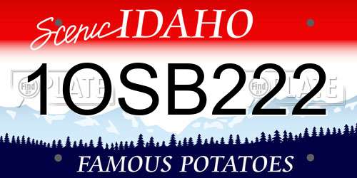 1OSB222 Idaho License Plate