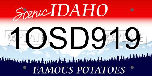 1OSD919 Idaho License Plate