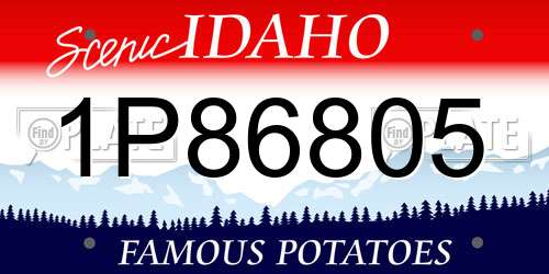 1P86805 Idaho License Plate