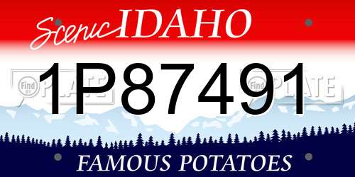 1P87491 Idaho License Plate