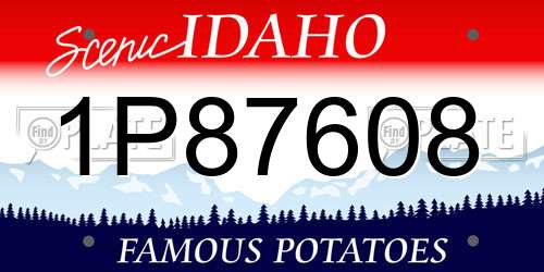 1P87608 Idaho License Plate
