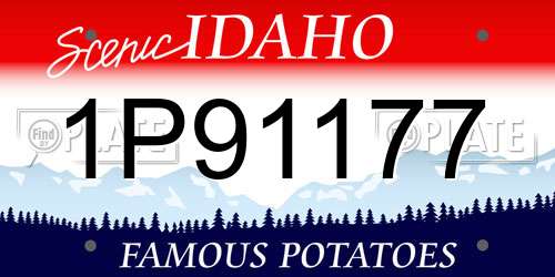 1P91177 Idaho License Plate