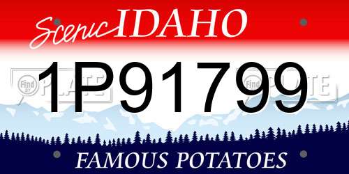 1P91799 Idaho License Plate