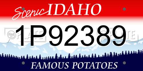 1P92389 Idaho License Plate