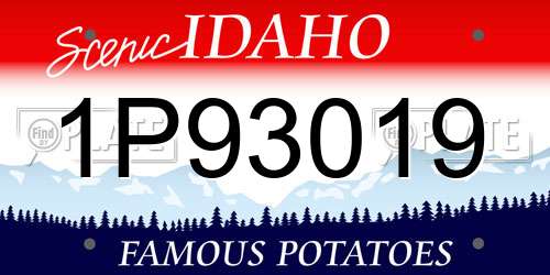 1P93019 Idaho License Plate
