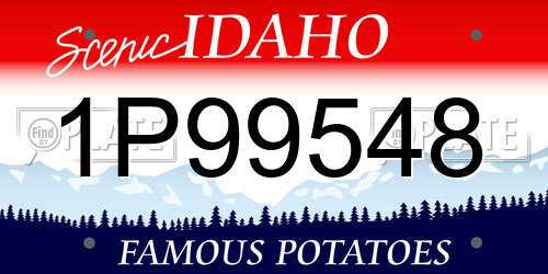 1P99548 Idaho License Plate