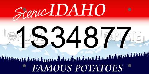 1S34877 Idaho License Plate