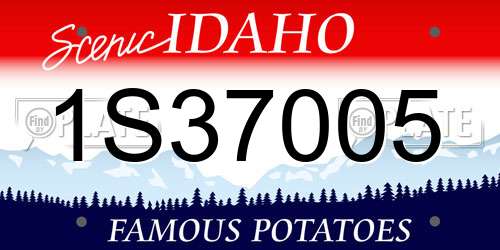 1S37005 Idaho License Plate