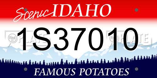 1S37010 Idaho License Plate
