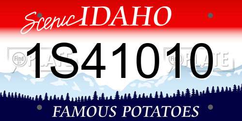 1S41010 Idaho License Plate