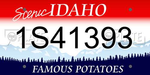 1S41393 Idaho License Plate