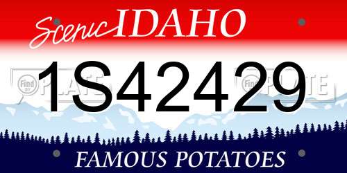1S42429 Idaho License Plate