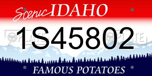 1S45802 Idaho License Plate