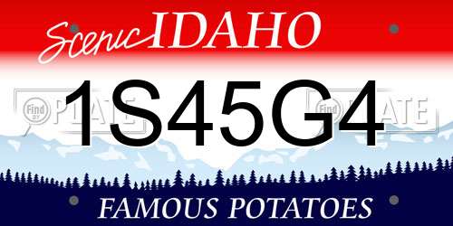 1S45G4 Idaho License Plate