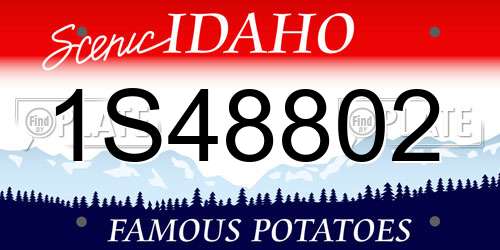1S48802 Idaho License Plate