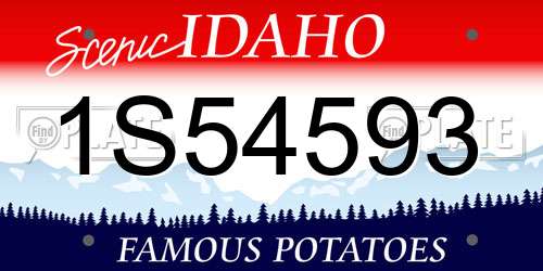 1S54593 Idaho License Plate