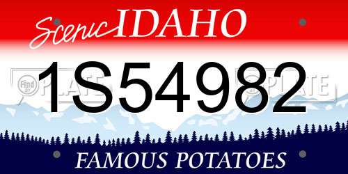 1S54982 Idaho License Plate