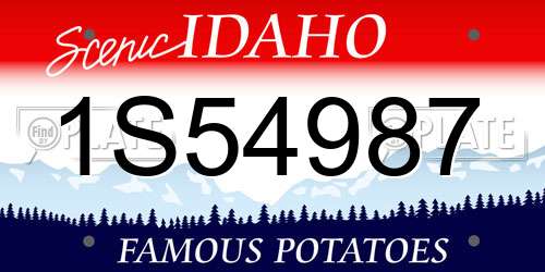 1S54987 Idaho License Plate