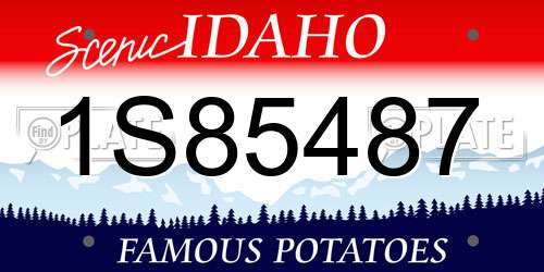 1S85487 Idaho License Plate