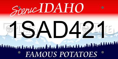 1SAD421 Idaho License Plate