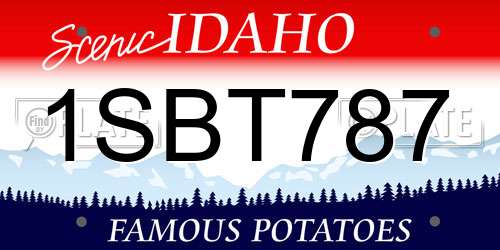 1SBT787 Idaho License Plate