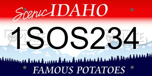 1SOS234 Idaho License Plate