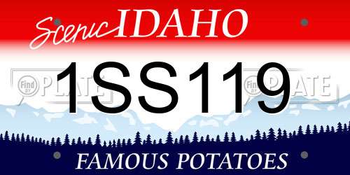 1SS119 Idaho License Plate